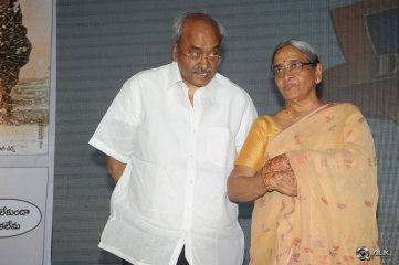 365 Days Movie Audio Launch